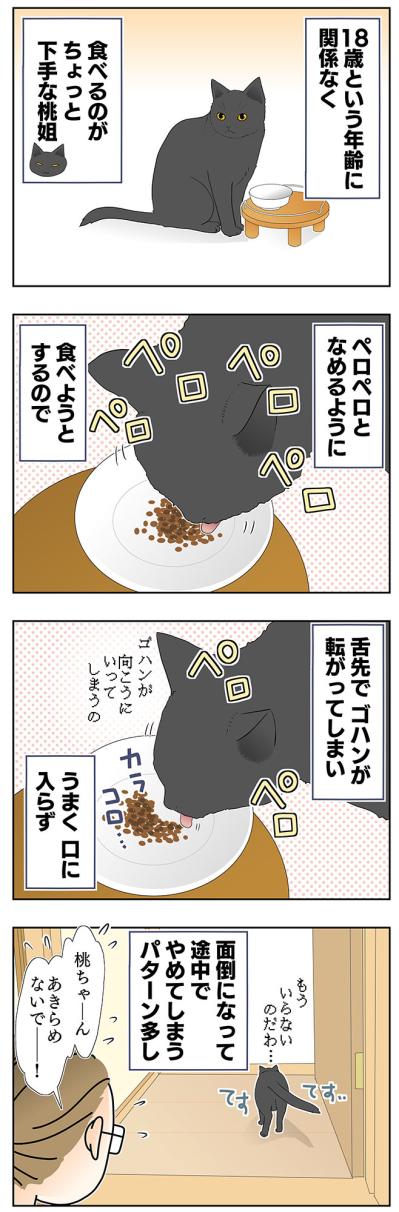 【老猫マンガ】鬱陶しそうな顔をする猫…18歳の元保護猫・桃姐［＃25］（サムネイル画像2）