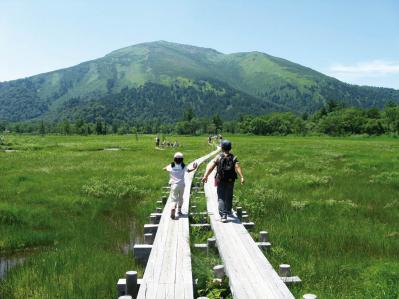 ひとめでわかる【遺贈寄付】の主な手順と相談窓口一覧（サムネイル画像6）