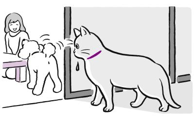 犬と猫、こわがりなのはどっち？ そっと寄り添うためのヒント集（サムネイル画像2）