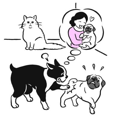 モフモフの嫉妬心。犬と猫、ヤキモチ焼きなのはどっち？その答えが意外すぎた！（サムネイル画像2）