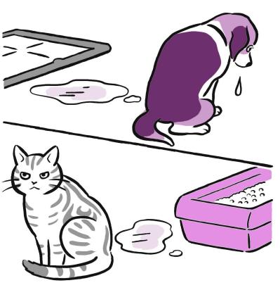 犬と猫、落ち込みやすいのはどっち？　動物学者に聞く「こころのサイン」（サムネイル画像2）