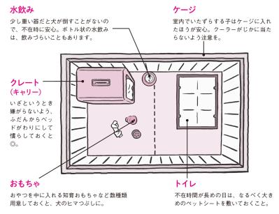 犬と猫、留守番上手なのはどっち？ 猫は人間を“大きな猫”と思っている！？（サムネイル画像3）