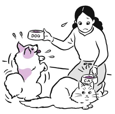 「好きな食べ物が出てくるまで待つ」のはどっち？ 犬と猫の“好き嫌い事情”（サムネイル画像2）