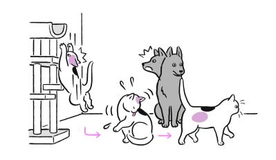 犬と猫、立ち直りが早いのはどっち？ 私たちも見習いたい“切り替え力”（サムネイル画像2）