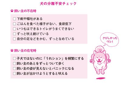 犬と猫、留守番上手なのはどっち？ 猫は人間を“大きな猫”と思っている！？（サムネイル画像4）
