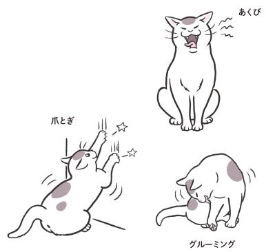 犬と猫、立ち直りが早いのはどっち？ 私たちも見習いたい“切り替え力”（サムネイル画像3）