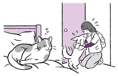 犬と猫、留守番上手なのはどっち？ 猫は人間を“大きな猫”と思っている！？（サムネイル画像2）