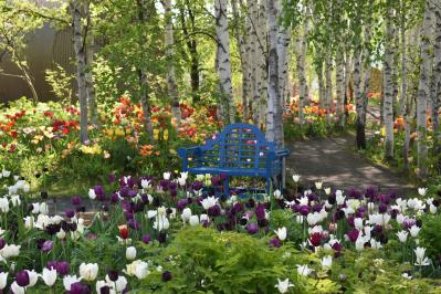 連休後も狙い目！花旅のプロがすすめる【ガーデン2選】「ここにしかないオンリーワンの庭」とは？（サムネイル画像6）