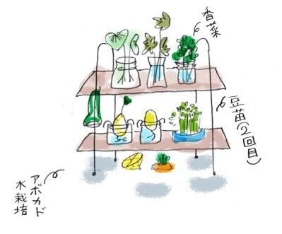 「このアタシが70歳になるなんて!」イラストレーター本田葉子さんのごきげんなキッチンづくり（サムネイル画像4）