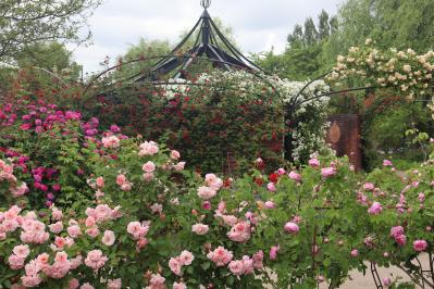 連休後も狙い目！花旅のプロがすすめる【ガーデン2選】「ここにしかないオンリーワンの庭」とは？（サムネイル画像11）