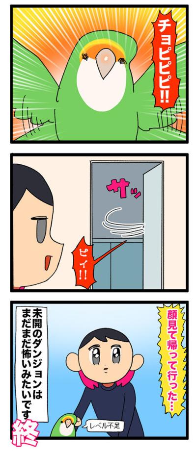 【鳥マンガ＃42】女帝インコが攻略できなかったのは？／インコのせいで自宅の壁が殺風景な理由（サムネイル画像4）