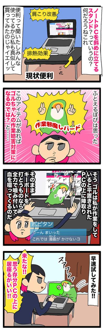【鳥マンガ＃40】これでインコにパソコン作業を邪魔されないぞ！／壁掛けビタミン剤の悲劇（サムネイル画像3）