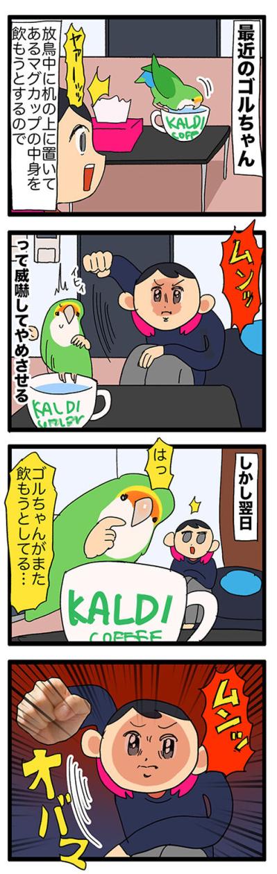 【鳥マンガ＃41】いつまで続く？飼い主の威嚇／タブレット端末を器用に使う令和のインコ（サムネイル画像3）