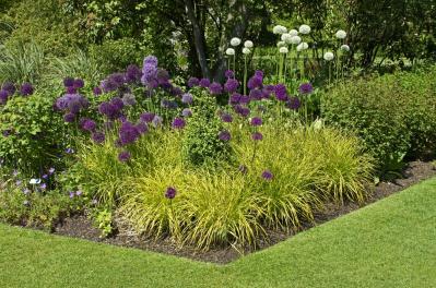 【ガーデニング】リーフプランツ3タイプで庭と寄せ植えをセンスよく！［リーフ9選］（サムネイル画像20）