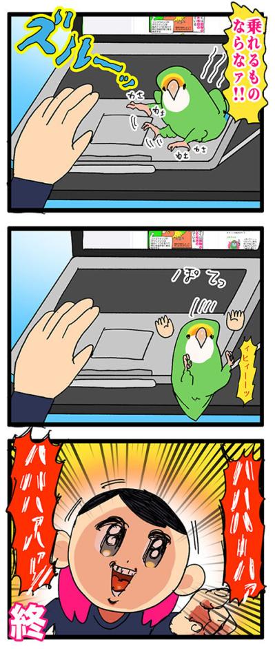 【鳥マンガ＃40】これでインコにパソコン作業を邪魔されないぞ！／壁掛けビタミン剤の悲劇（サムネイル画像4）