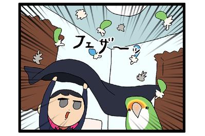 【鳥マンガ＃39】忙しい時間に散らばるインコの毛／おもちゃを絶対に許さないゴルちゃん