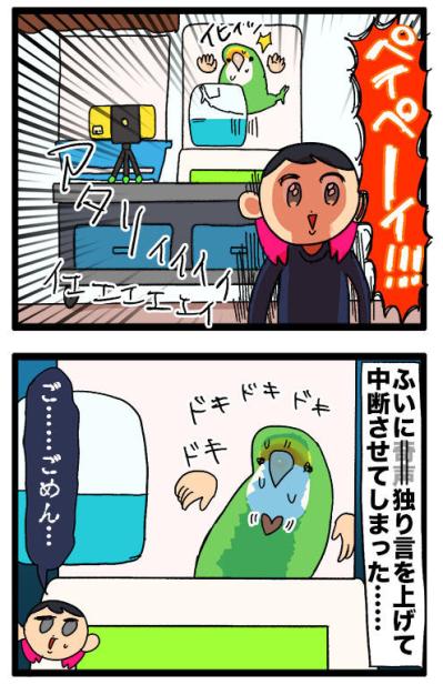 【鳥マンガ＃43】女帝インコの高速舌打ち…その意味は？／一人暮らしあるある？インコのバスタイムを邪魔したもの（サムネイル画像7）