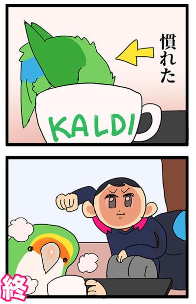 【鳥マンガ＃41】いつまで続く？飼い主の威嚇／タブレット端末を器用に使う令和のインコ（サムネイル画像4）