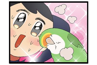 【鳥マンガ＃44】女帝インコに足を向けてはいけない／飼い主キュン死！ゴルちゃんが飼い主に頬寄せてきたら…