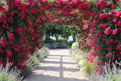 連休後も狙い目！花旅のプロがすすめる【ガーデン2選】「ここにしかないオンリーワンの庭」とは？（サムネイル画像9）