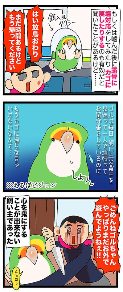 【鳥マンガ＃45】心を鬼に…インコの噛み癖の直し方／女帝インコは常に戦闘態勢！（サムネイル画像5）