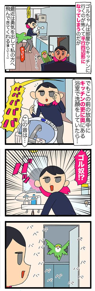 【鳥マンガ＃42】女帝インコが攻略できなかったのは？／インコのせいで自宅の壁が殺風景な理由（サムネイル画像3）