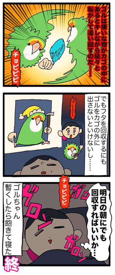 【鳥マンガ＃39】忙しい時間に散らばるインコの毛／おもちゃを絶対に許さないゴルちゃん（サムネイル画像5）