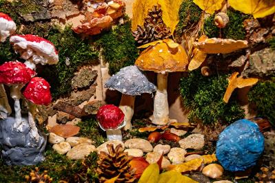 夢野久作の『きのこ会議』あらすじ紹介。擬人化されたきのこが毒と善意を語り合う結論は？