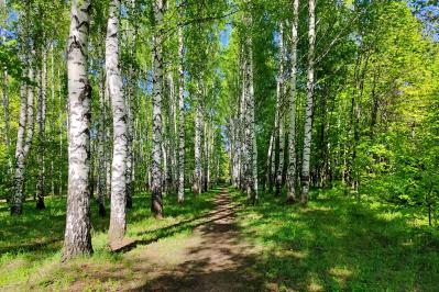 堀辰雄の『風立ちぬ』あらすじ紹介。あなたの「生きる意味」を問い直す名作