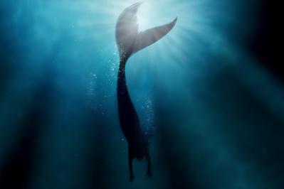 アンデルセンの『人魚の姫』あらすじ紹介。あなたは本当に知っている？アンデルセンが描く愛と犠牲の物語