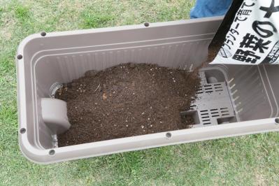 【ガーデニング】庭がなくてもOK！たくさん収穫できる「コンテナ菜園」春〜夏バージョン（サムネイル画像7）