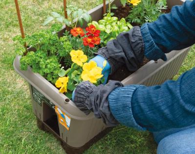 【ガーデニング】庭がなくてもOK！たくさん収穫できる「コンテナ菜園」春〜夏バージョン（サムネイル画像18）