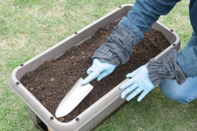 【ガーデニング】庭がなくてもOK！たくさん収穫できる「コンテナ菜園」春〜夏バージョン（サムネイル画像9）