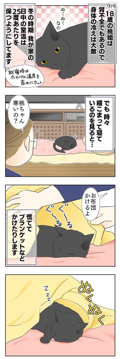 【マンガ・老猫日誌＃28】老猫とのループする日常？ 19歳の元保護猫・桃姐（サムネイル画像2）