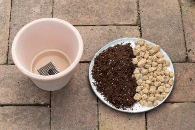 【ガーデニング】はじめてでもできる！鉢で育てるハーブ 単植＆寄せ植え（サムネイル画像3）