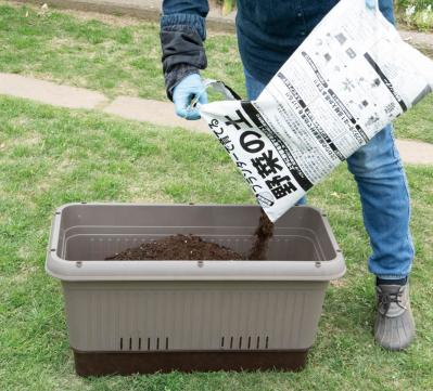 【ガーデニング】庭がなくてもOK！たくさん収穫できる「コンテナ菜園」春〜夏バージョン（サムネイル画像8）