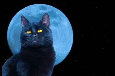 萩原朔太郎の『青猫』あらすじ紹介。比類なき美しさと深淵なテーマ〜心揺さぶる抒情詩の旅へ