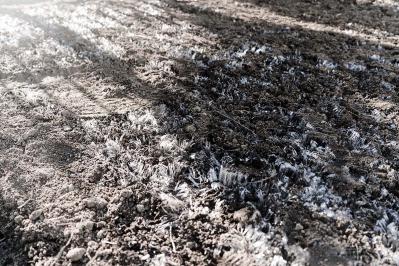 樋口一葉の『別れ霜』あらすじ紹介。愛と義理、家族の期待と個人の自由が複雑に絡み合う物語