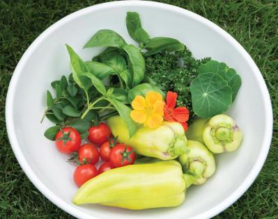 【ガーデニング】春に植えた「コンテナ菜園」の収穫作業をわかりやすく解説！（サムネイル画像10）