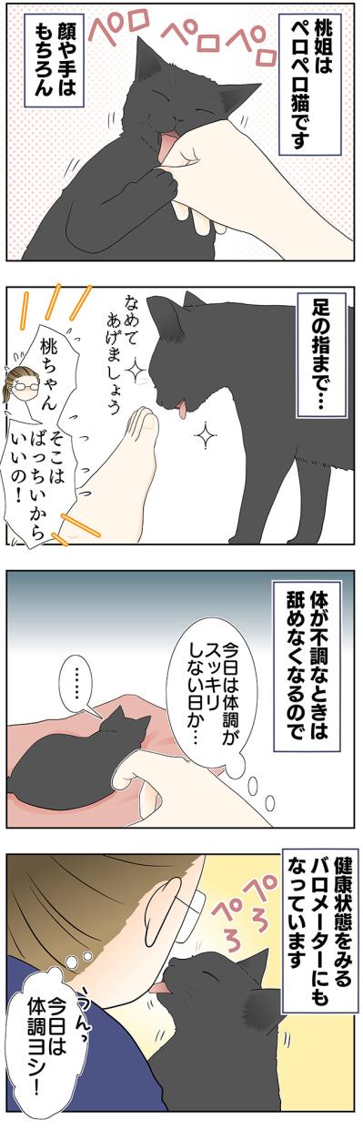 【マンガ・老猫日誌＃27】健康のバロメーターは「ペロペロ」。19歳の元保護猫・桃姐（サムネイル画像2）