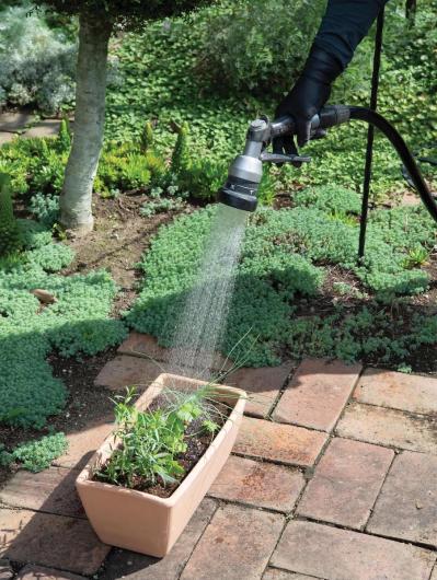 【ガーデニング】料理に役立つ「ハーブの寄せ植え」おすすめの組み合わせは？（サムネイル画像9）