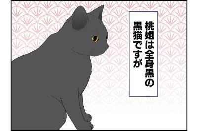 【老猫マンガ】年をとってもかわらないもの…18歳の元保護猫・桃姐［＃29］