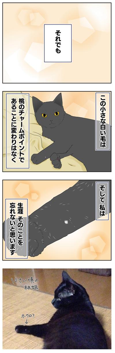 【マンガ・老猫日誌＃29】年をとってもかわらないもの…19歳の元保護猫・桃姐（サムネイル画像4）