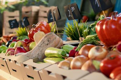 宮沢賢治の『農民芸術概論綱要』あらすじ紹介。宮沢賢治の描いた理想郷とは？