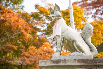 宮沢賢治の『青びかる天弧のはてに』あらすじ紹介。詩のように美しい本作の味わい方は？