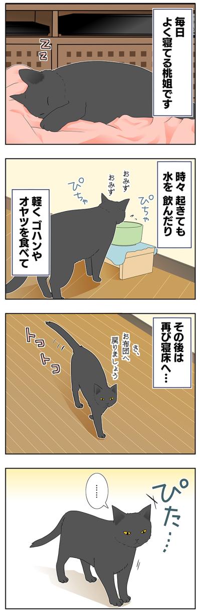 【老猫マンガ】ぐちゃぐちゃな布団の意味は？18歳の元保護猫・桃姐［＃30］（サムネイル画像2）