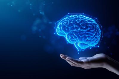 南方熊楠『失うた帳面を記憶力で書き復した人』のあらすじ紹介。驚きの記憶力が生み出す奇跡の数々