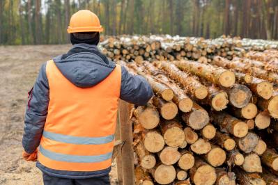 柳田国男『アテヌキという地名』のあらすじ紹介。時代を超えて語られる地名と樹木の謎とは？