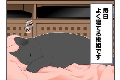 【老猫マンガ】ぐちゃぐちゃな布団の意味は？18歳の元保護猫・桃姐［＃30］