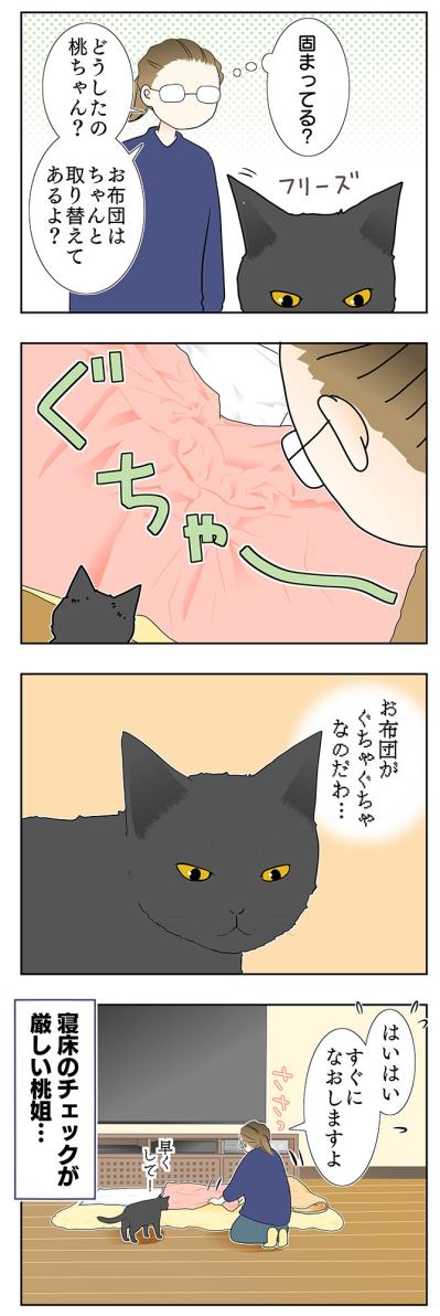 【老猫マンガ】ぐちゃぐちゃな布団の意味は？18歳の元保護猫・桃姐［＃30］（サムネイル画像3）